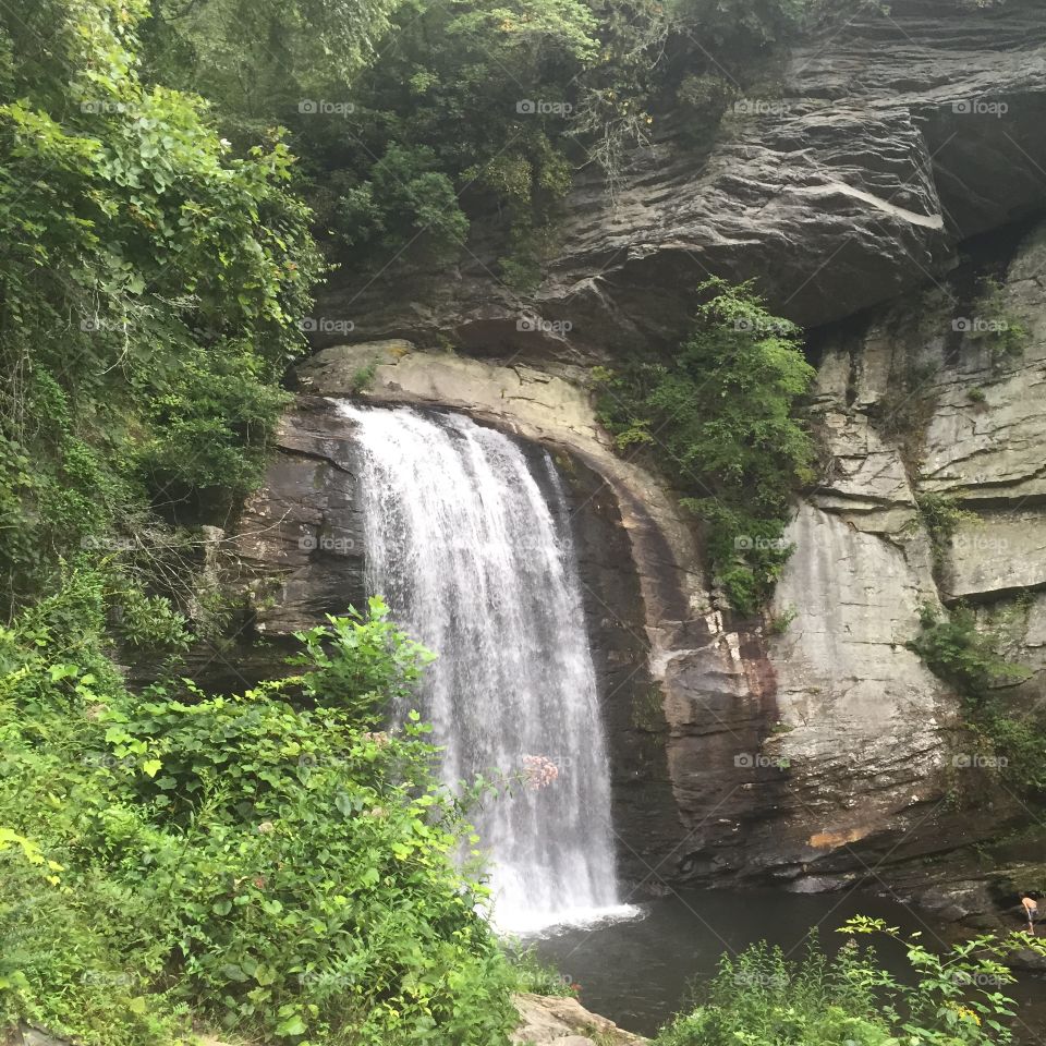 Looking Glass Falls. Natural waterfall. Freezing but beautiful! 
