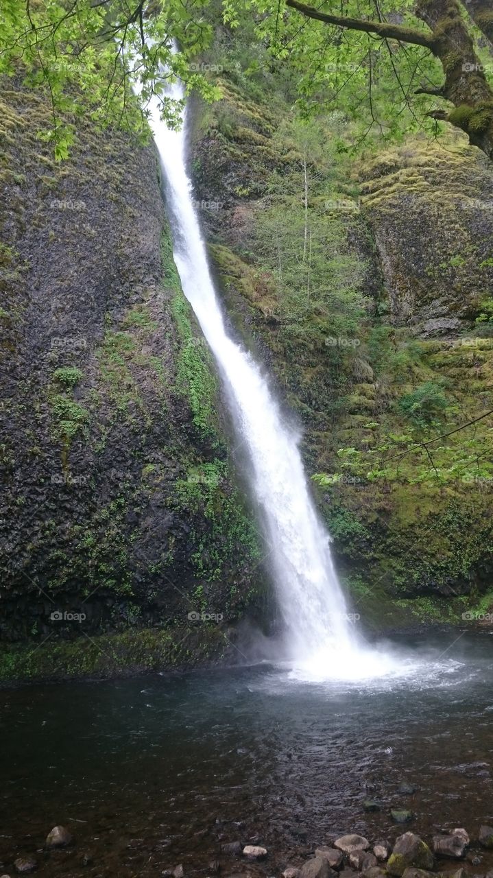Horsetail Falls. Another picture from our hiking adventures