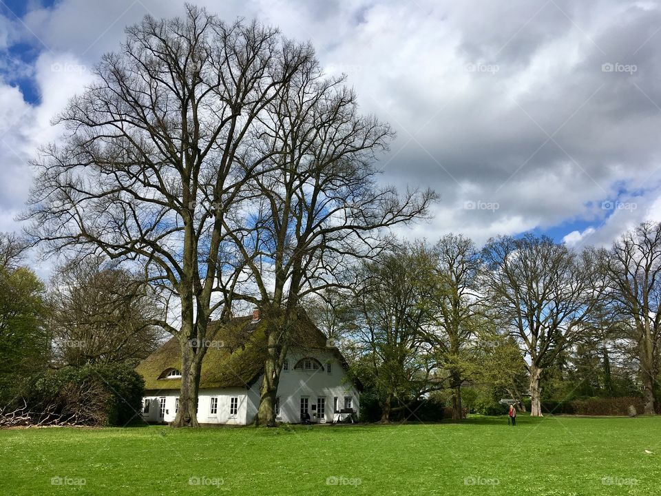 Hamburg.Park.Blankenese