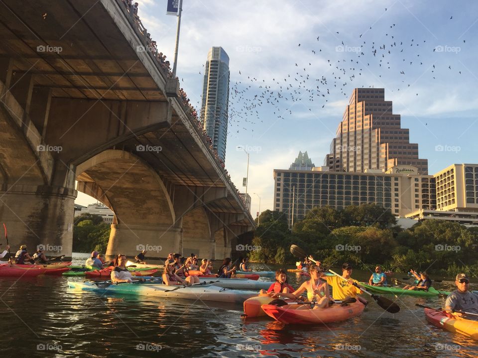Kayaking for Bats in Downtown Austin