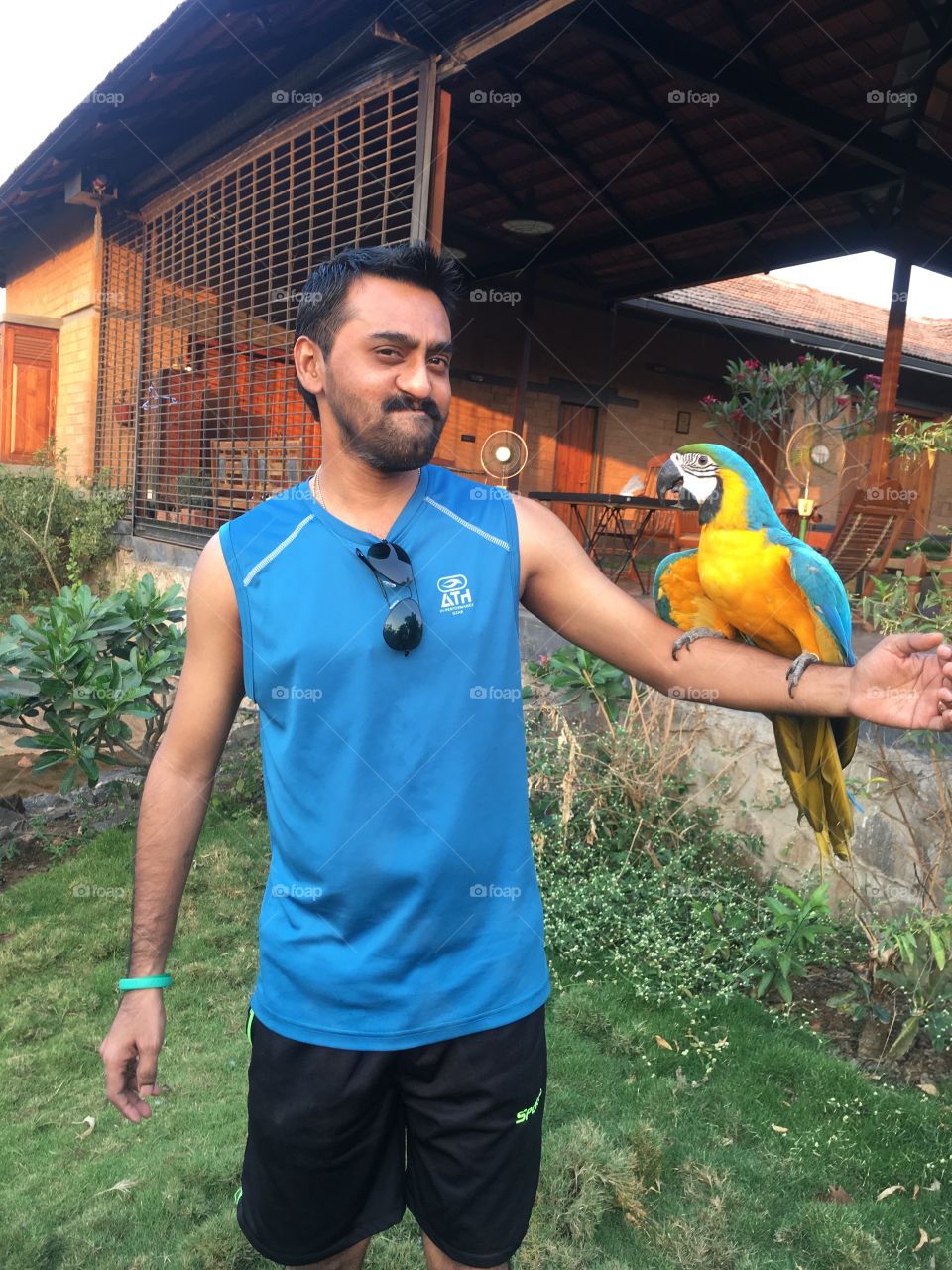 Holding a Blue & Yellow Macaw