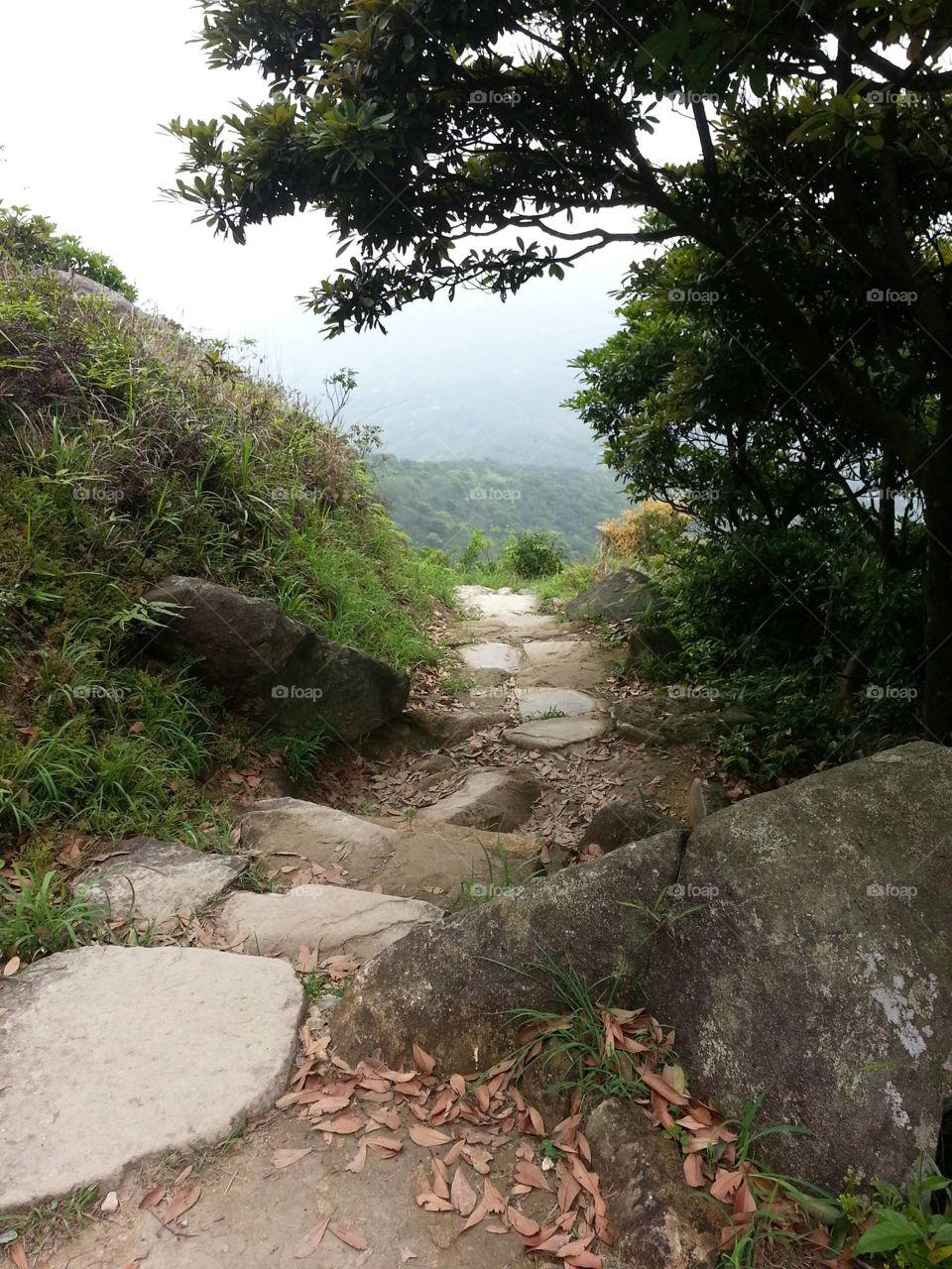 Lantau Mountain Hiking Trail