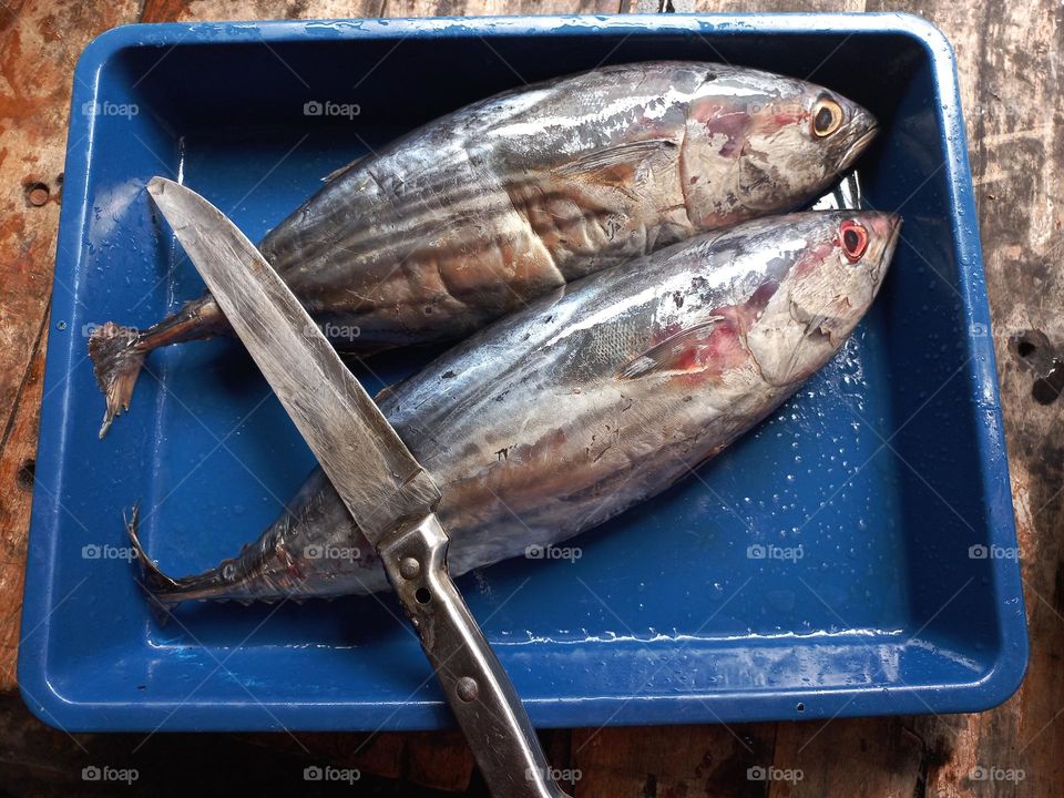 Fish that is ready to be sliced ​​or cooked