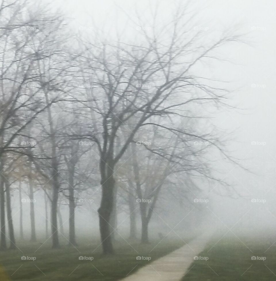 fog