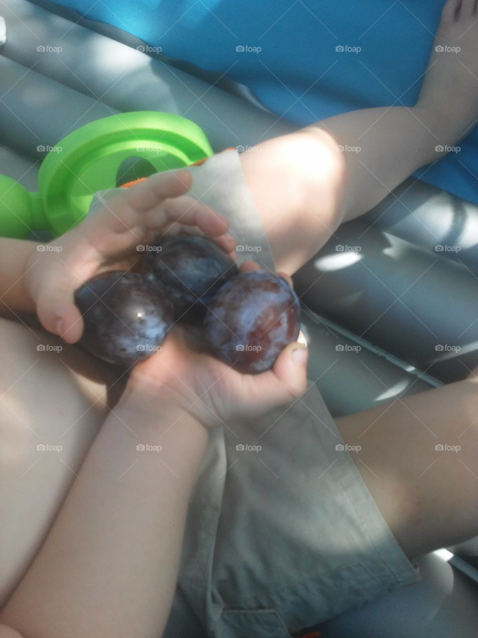 plums in childs hands