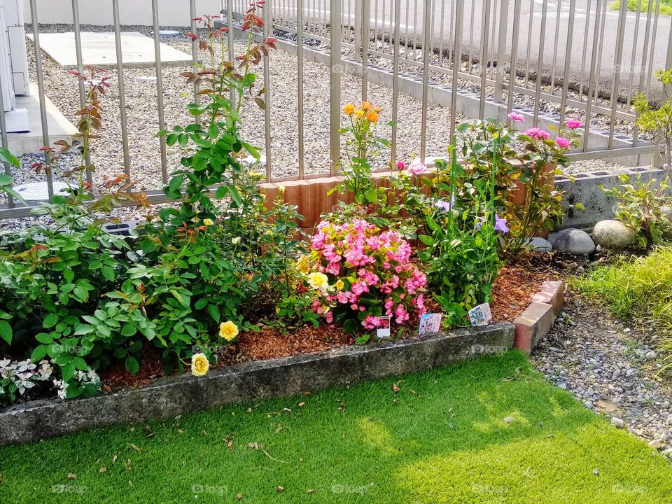 A Mini Garden Corner