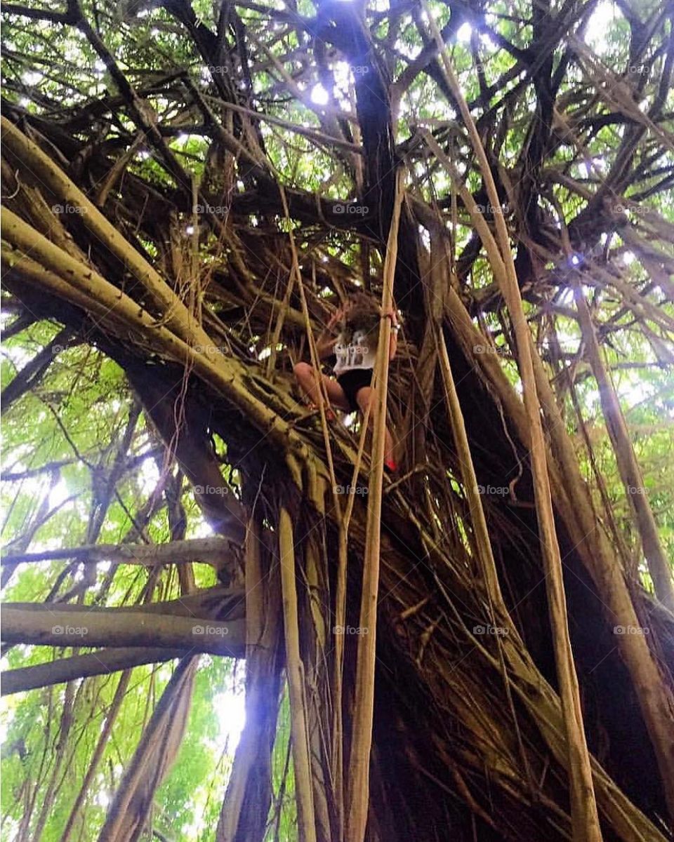 “Creation knows no opposite.” 🌱🌳