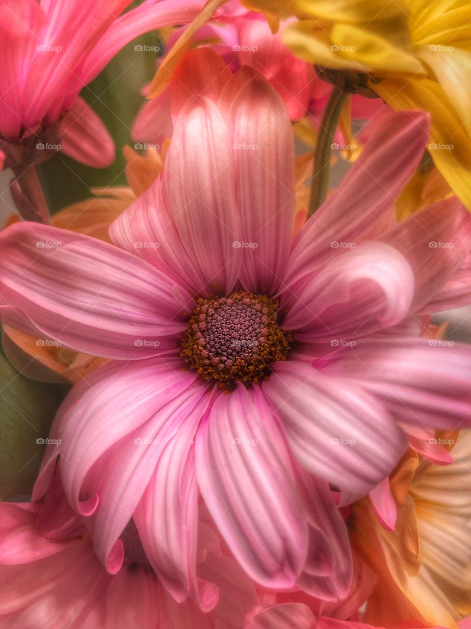 Pink daisy flower mixed bouquet 