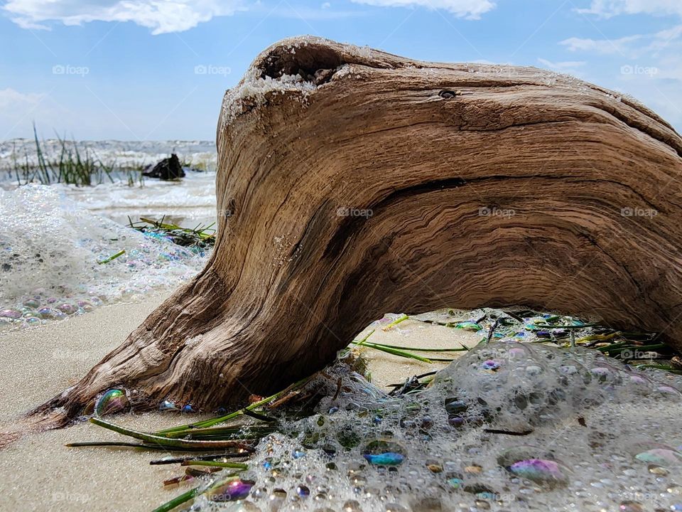 Driftwood with bubbles