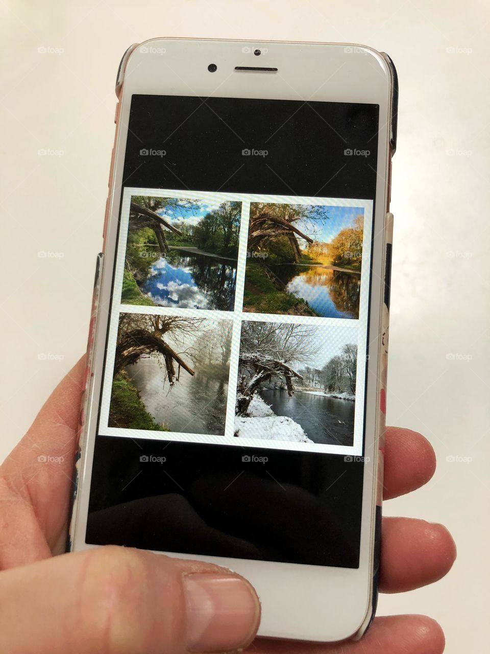 A selection of Seasonal shots of a tree that I took individually and grouped them together … then took a shot of me holding my mobile with my Sony camera in my right hand … uploaded to Foap … waiting to sell it one day 😂