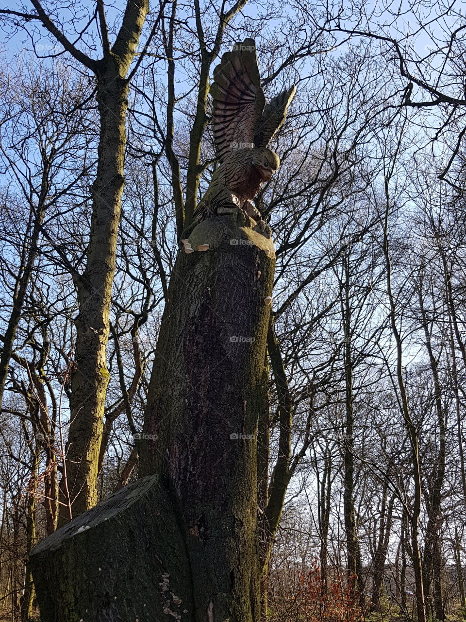 Eagle Carved In A Tree