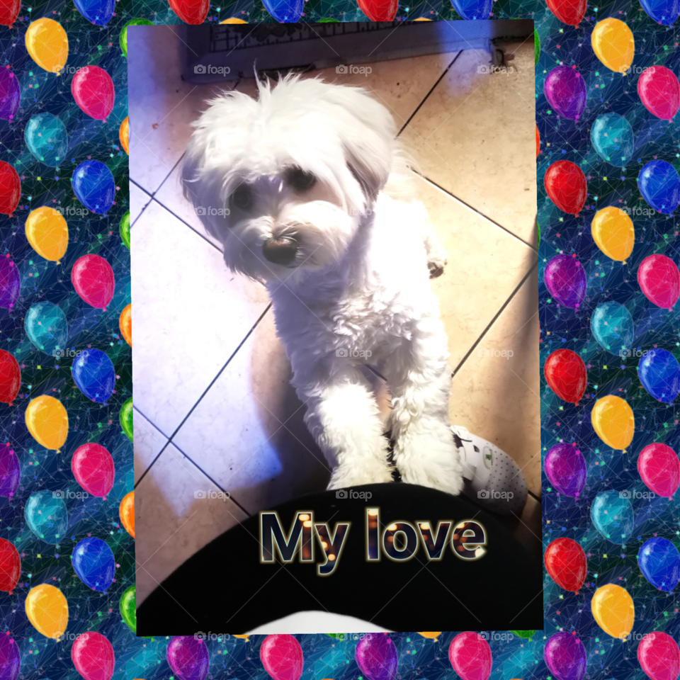 My love, my everything