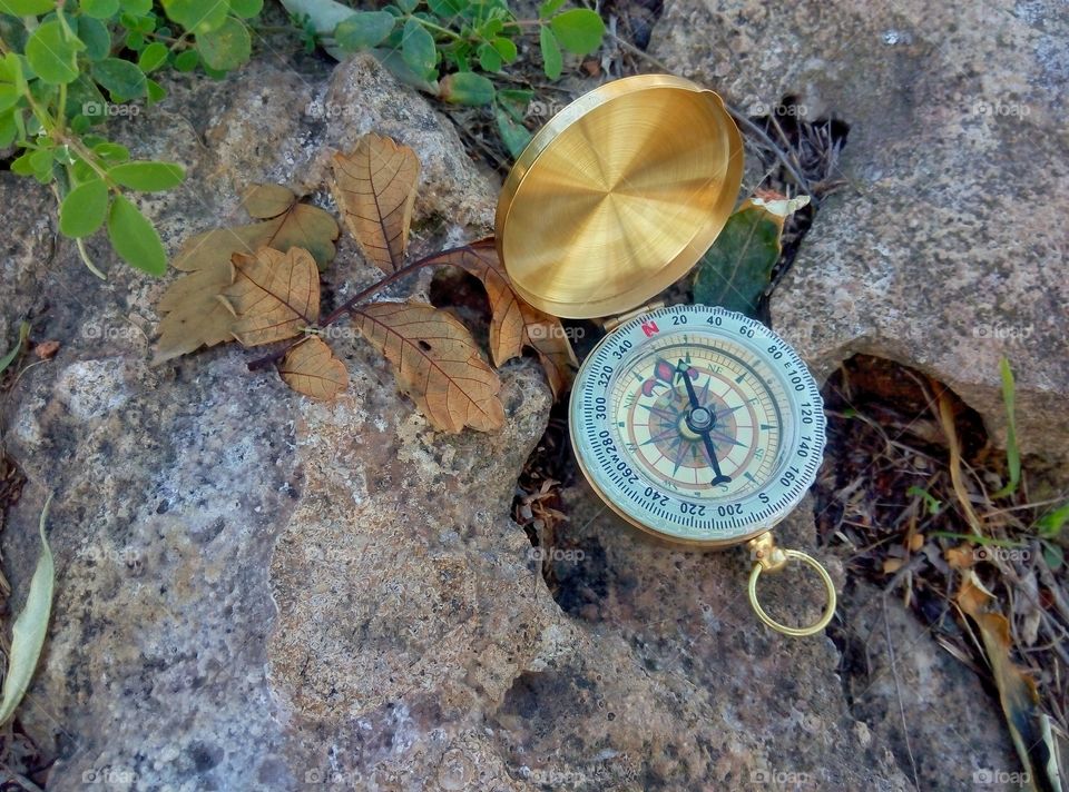 compass компас