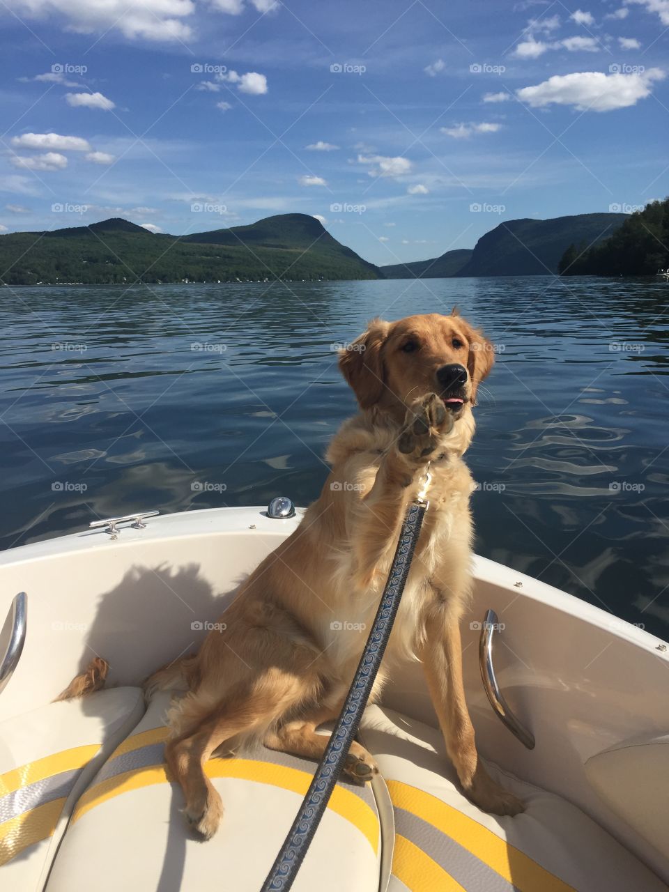 Waving in the mountains 