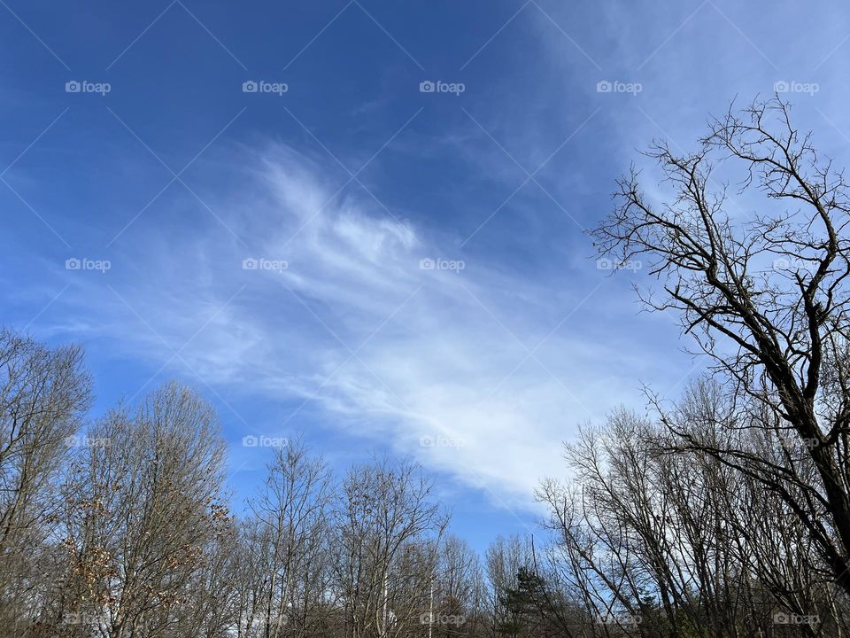 A beautiful view for the first official day of Spring 