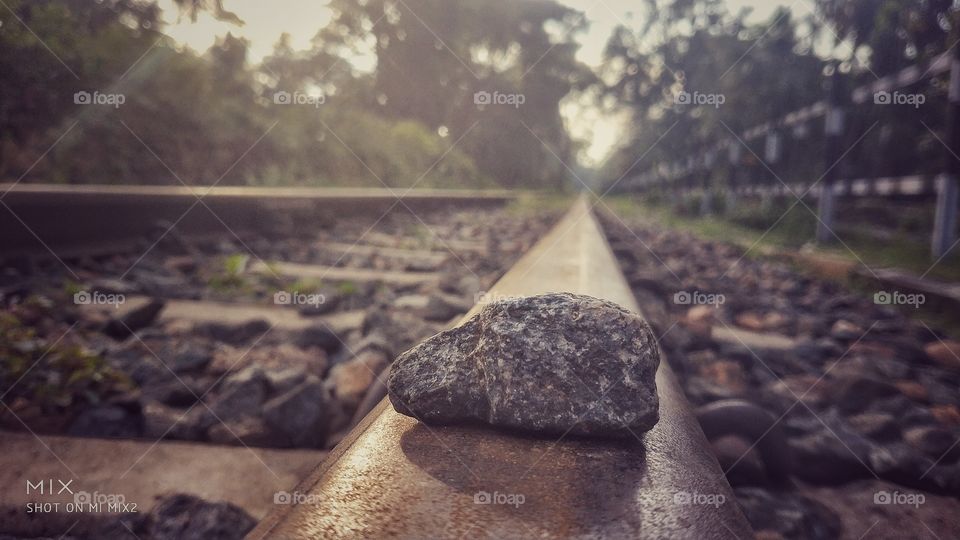 rock of life
