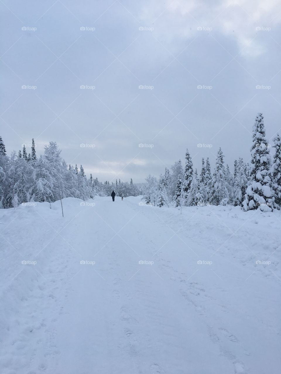 Man and dog walking in snowy landscape.
