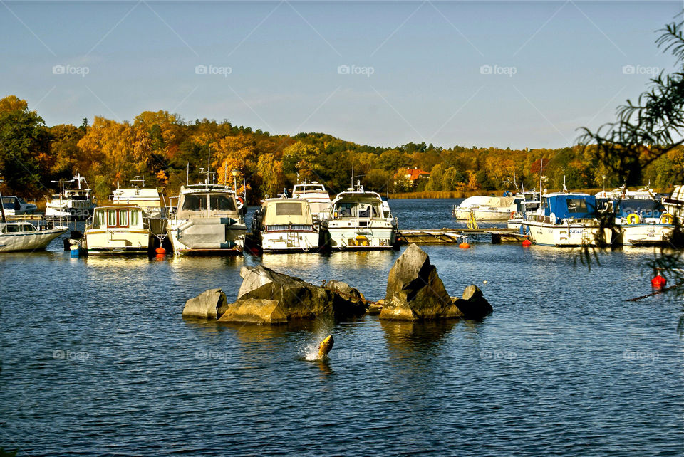 stockholm autumn hagaparken by lgt41