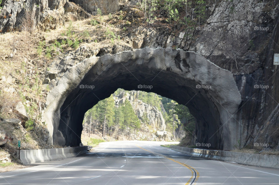 tunnel nature outdoors forest by refocusphoto