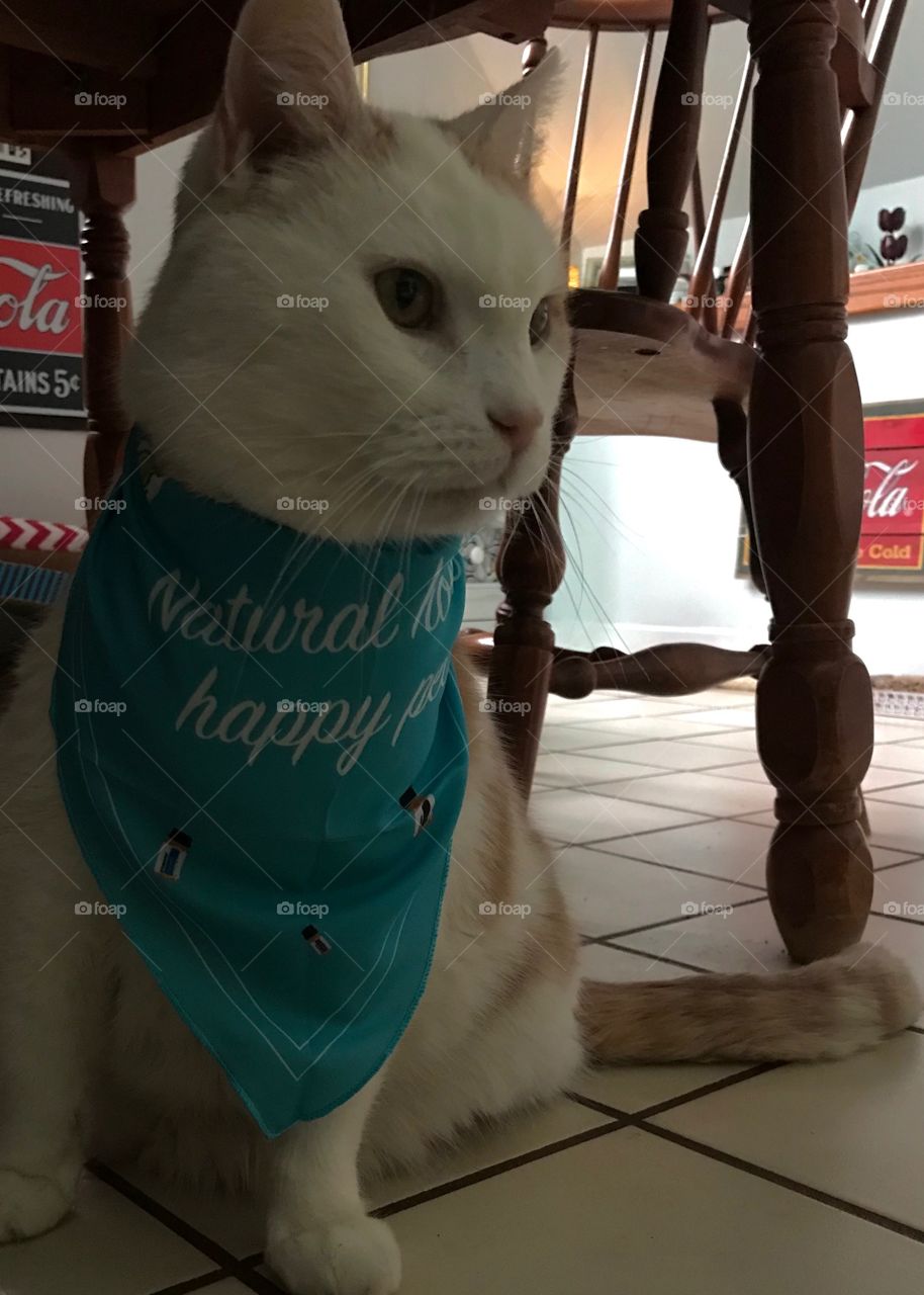 Rocking the bandanna