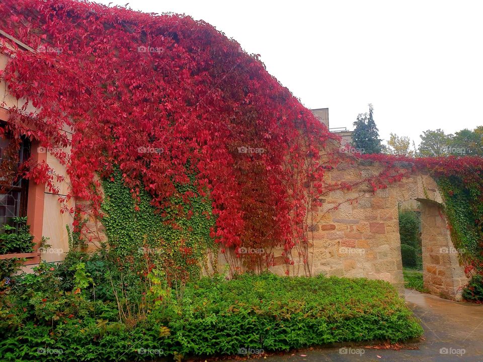 краски осени ...Herbst Farben