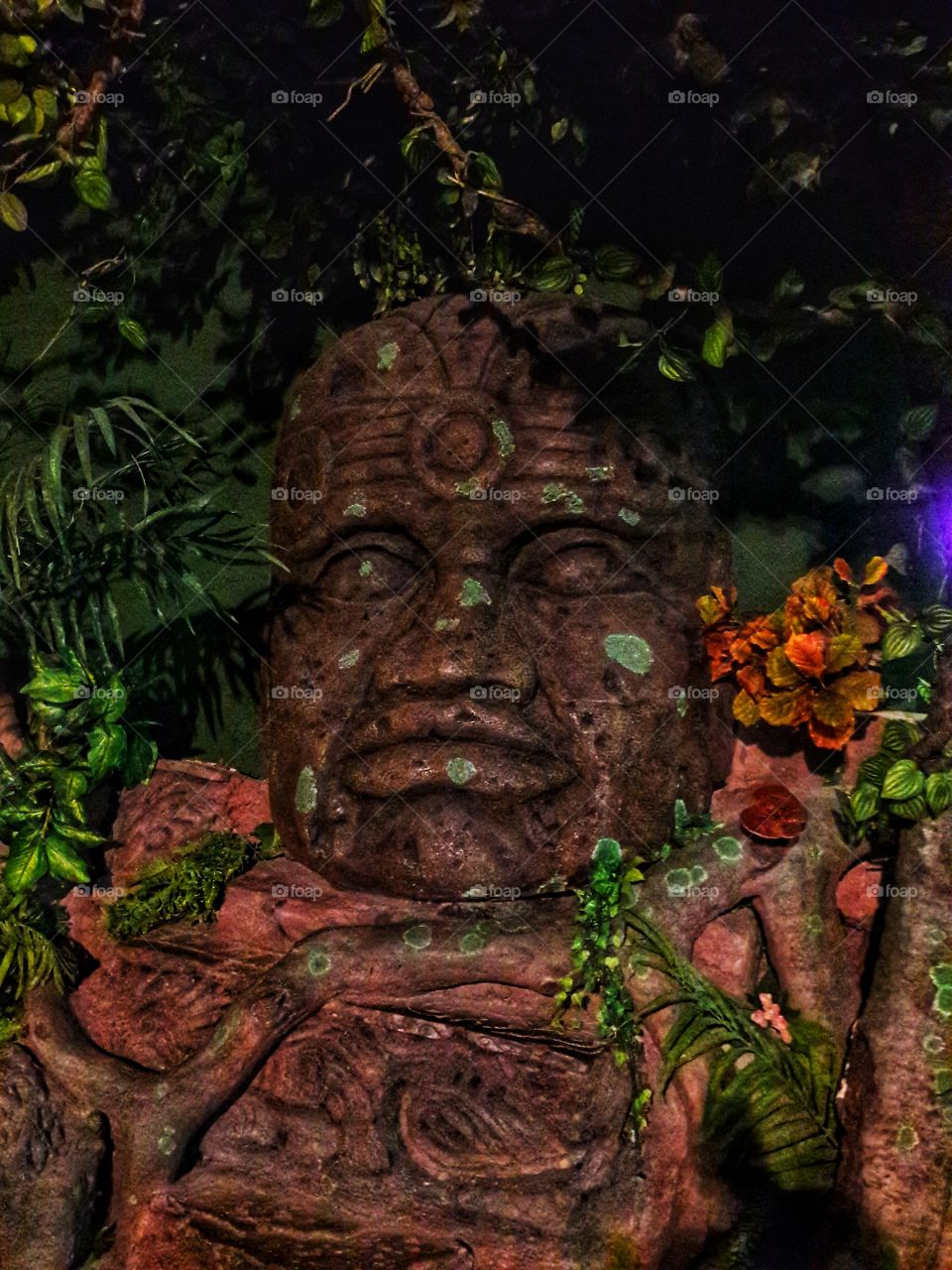 nature outdoor view spring summer