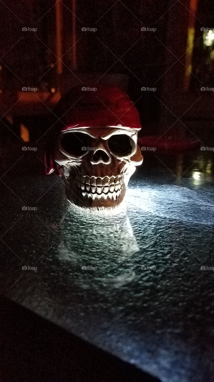 my front porch skull shot glass buddy