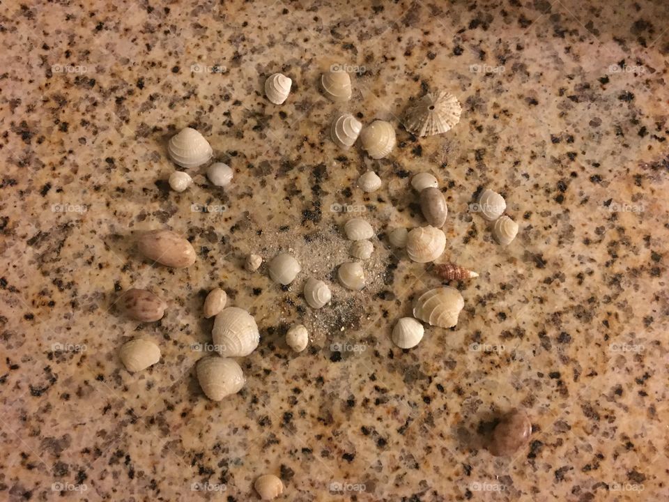 Shells