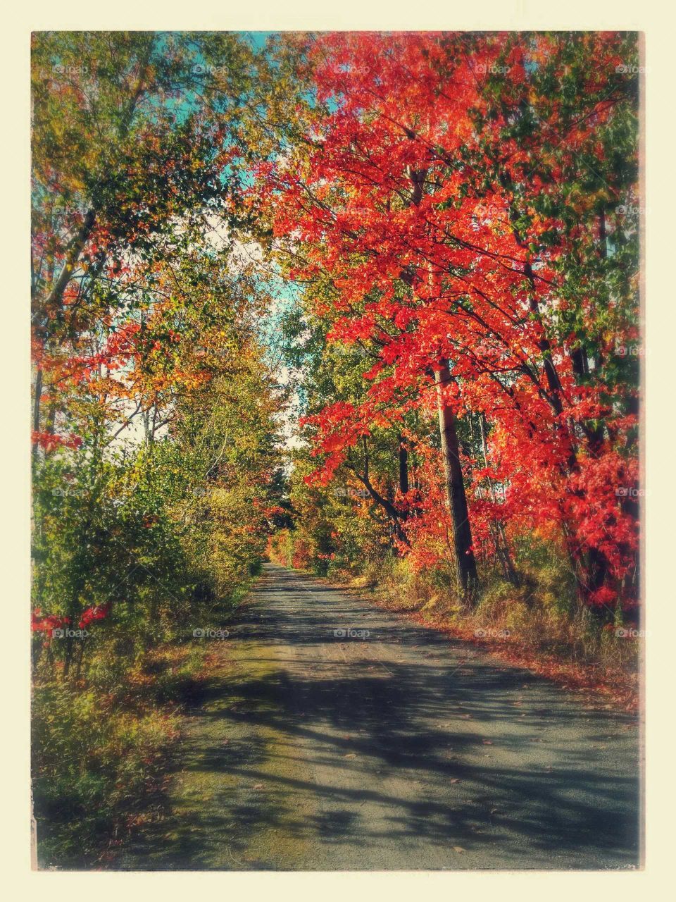 autumn trail