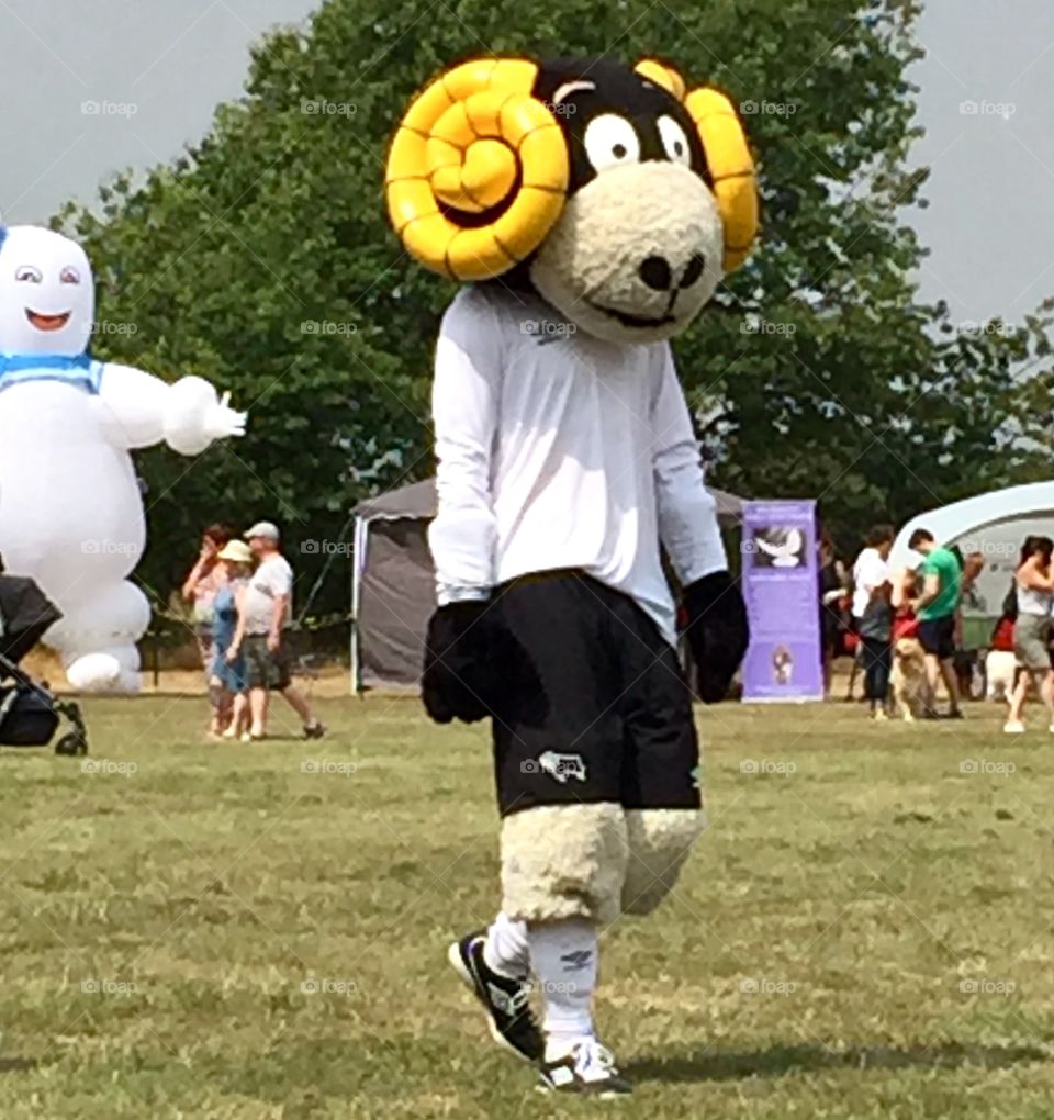 Derby County FC football mascot Rammie as seen at Hatton Carnival in July. 