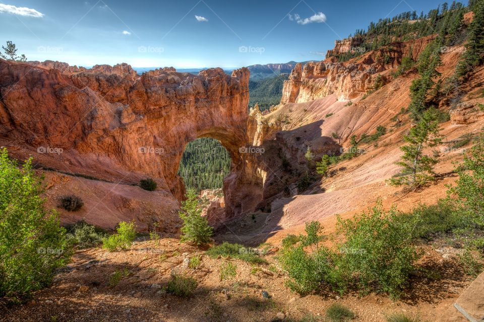 Natural arch in morning sun. Natural arch in Bryce Canyon, Utah, USA. View towards trees through arch. Few trees around the arch