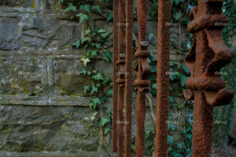 old rusty fence on the background of a stone wall with ivy