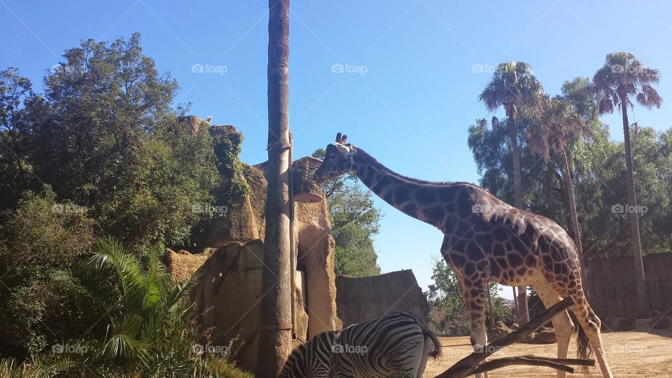 day out with the family