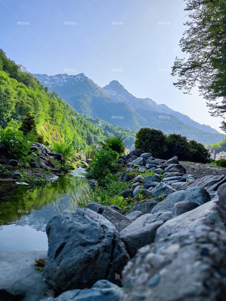 Mountain stream on a sunny day