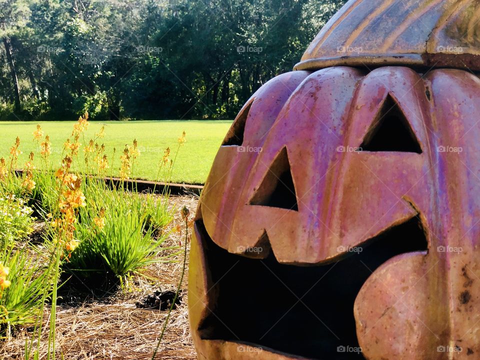 Closeup clay jack o’lantern in sunny garden 