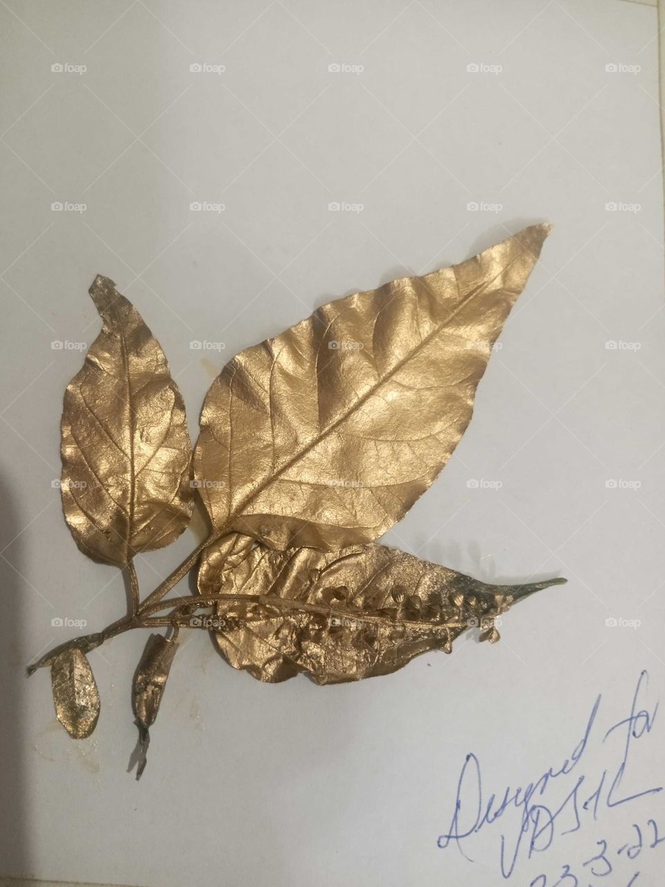 Golden leaves protrait