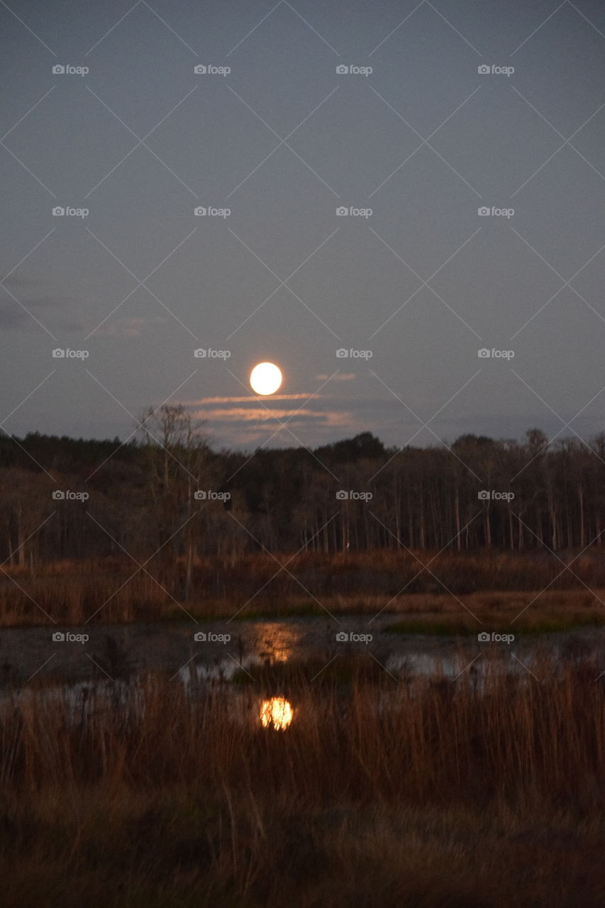 Nightfall in Florida
