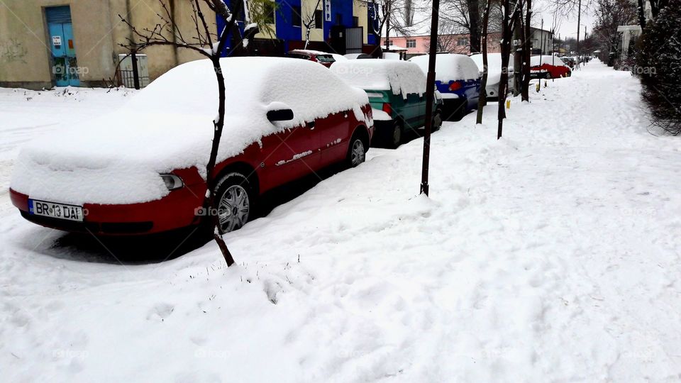 first snow 16.01.18 usualy came in first days of december