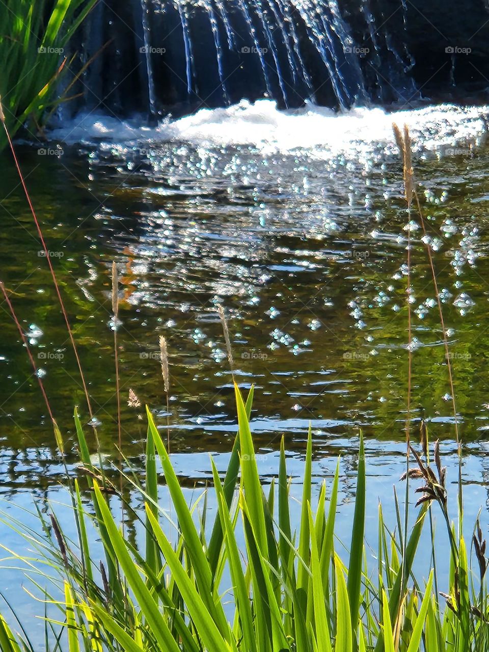 sunlight sparkling on the pool at the base of a suburban waterfall surrounded by green grass