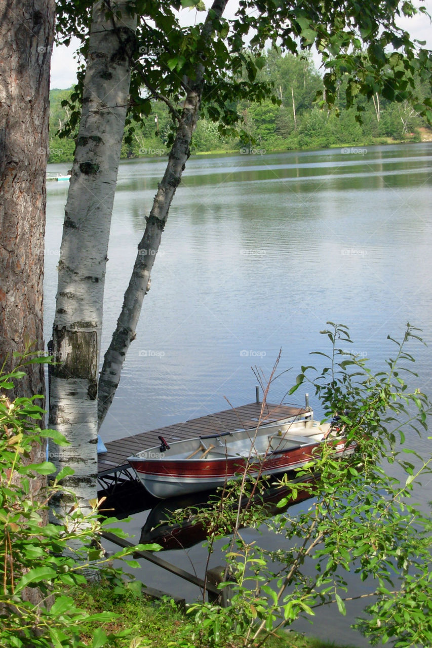 Cottage View