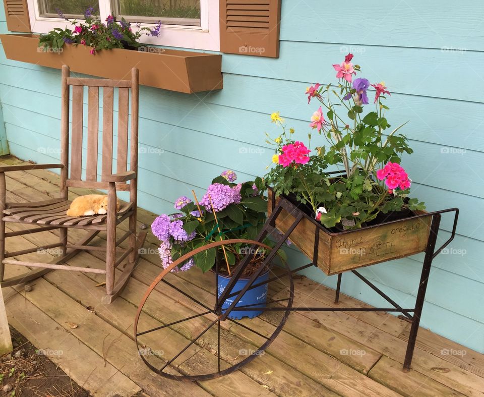 Patio with furniture and flowers