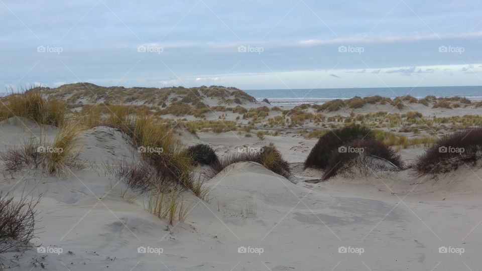 Dunes near the sea