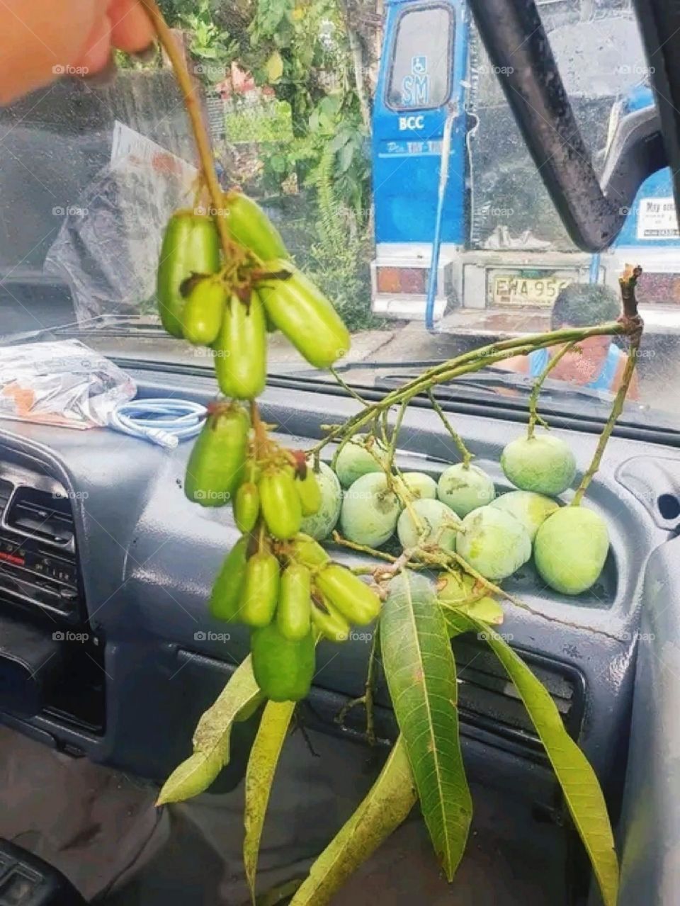 Some fruits kept on the dashboard of a moving car.