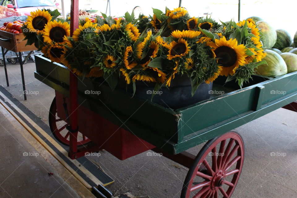 Sunflower Wagon