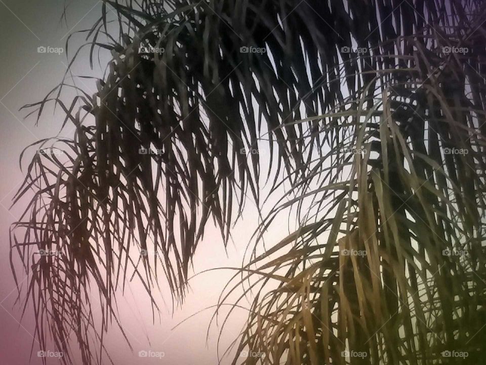 Partial Tree Blowing in Breeze