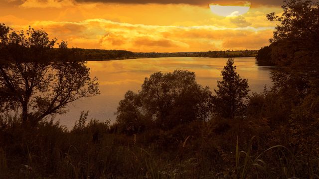 nature