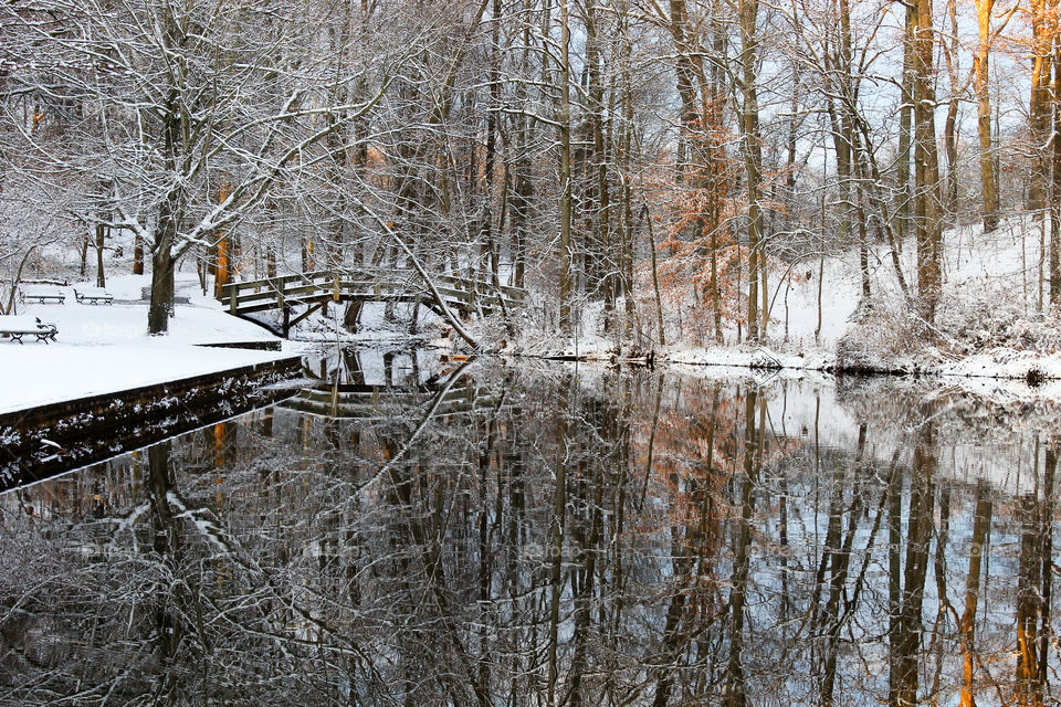 Winter Wonderland after the first snow