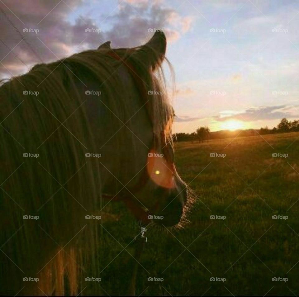 In order for the beautiful in your eyes to remain beautiful, do not get too close to him.