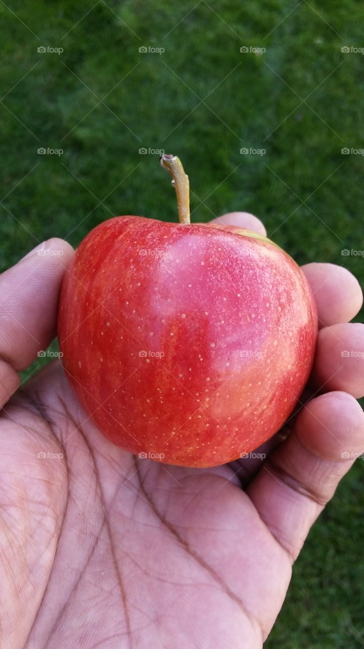 Apple