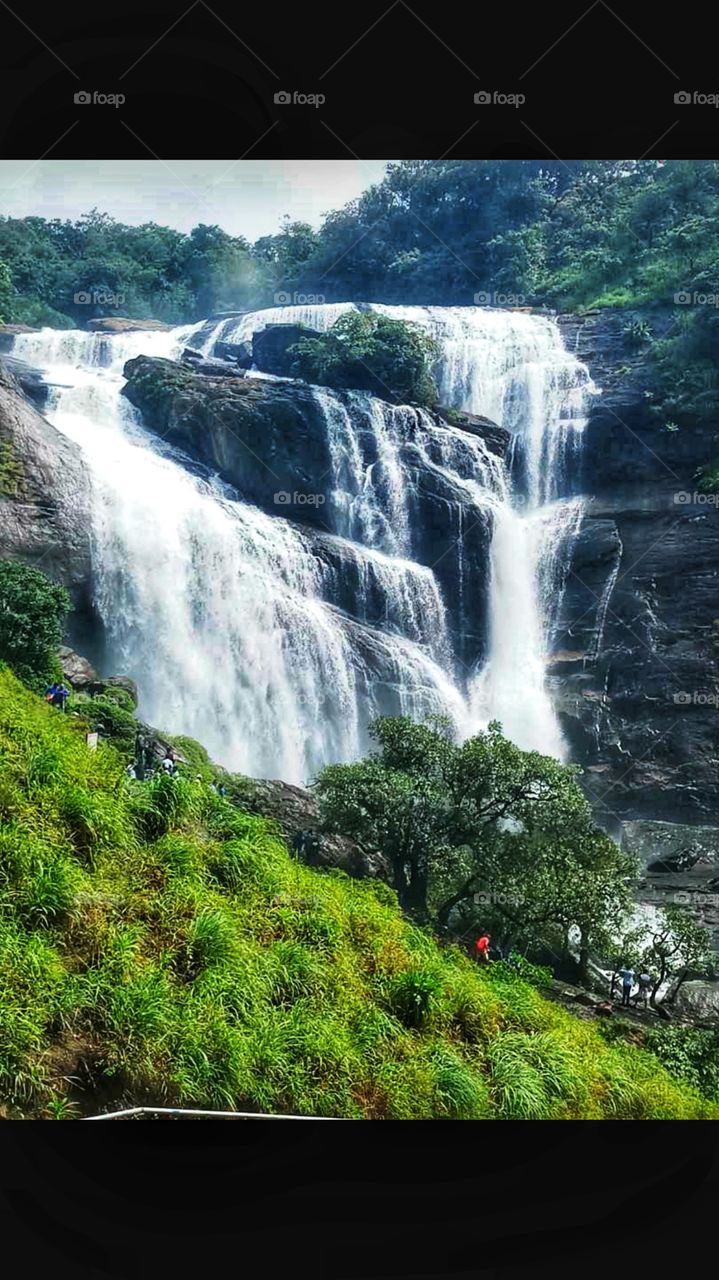 nature's love (falls)